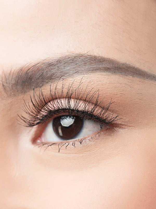 Dainty Lashes BLP Beauty