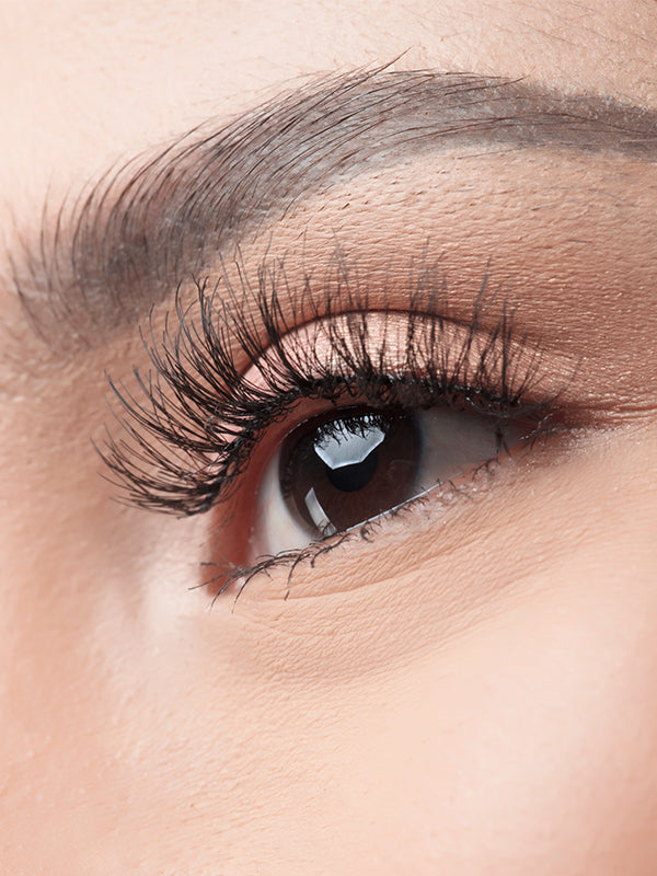 Poised Lashes BLP Beauty