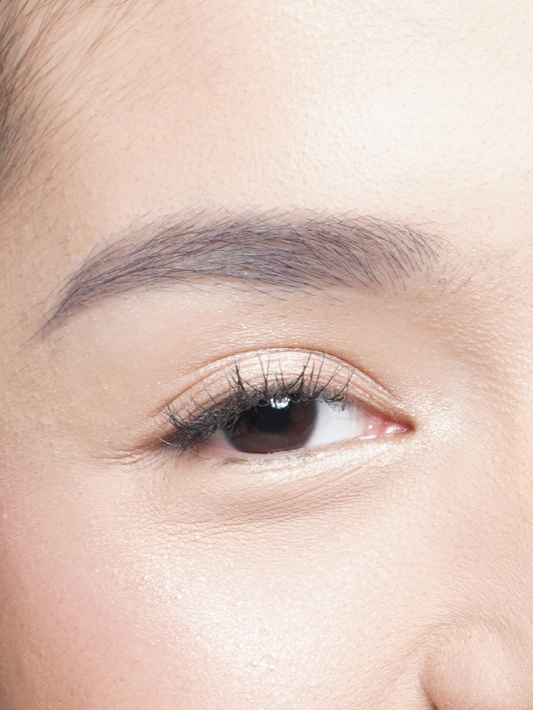 Brow Definer Model